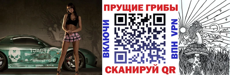 где продают   Нолинск  blacksprut маркетплейс  Галлюциногенные грибы Magic Shrooms 